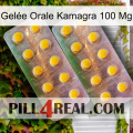Gelée Orale Kamagra 100 Mg new10